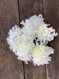 16" Mum Bush x9 - White