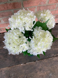 19" High Quality Hydrangea Bush x5 - White