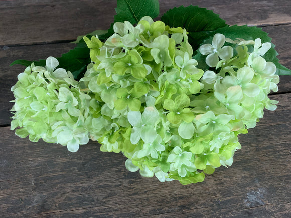 Corsage/Bouquet Supplies – Florist Wreath Supply