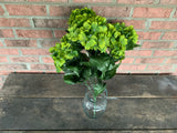 22" Hydrangea Bush x7 - Sage Green