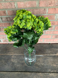 22" Hydrangea Bush x7 - Sage Green