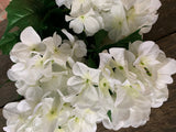 White Hydrangea Bush x5