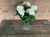 White Hydrangea Bush x5