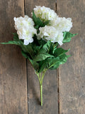 White Hydrangea Bush x5