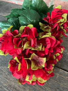 23" Hydrangea Bush x7 - Red Green