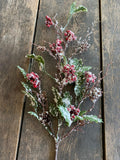 22" Plastic Holly Leaf with Red Berries and Snow