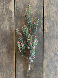 30" Greenery Stem with Red Berries and Snow