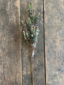 30" Greenery Stem with Red Berries and Snow