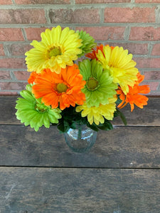 19" Gerbera Daisy Bush x12 - Yellow Green Orange