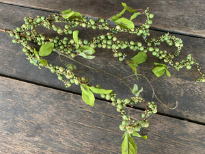 24" Curly Willow Branch with Green Berries x3