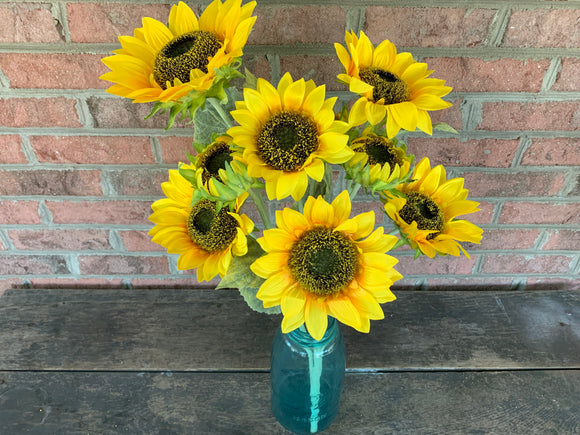 Large Sunflower Bush