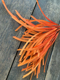 Bright Orange Paper Grass Bush