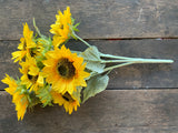 Large Sunflower Bush